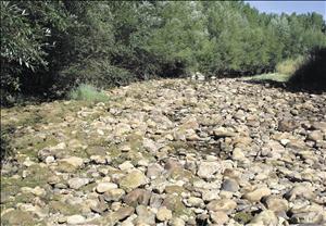 Y las truchas se quedan sin agua.....